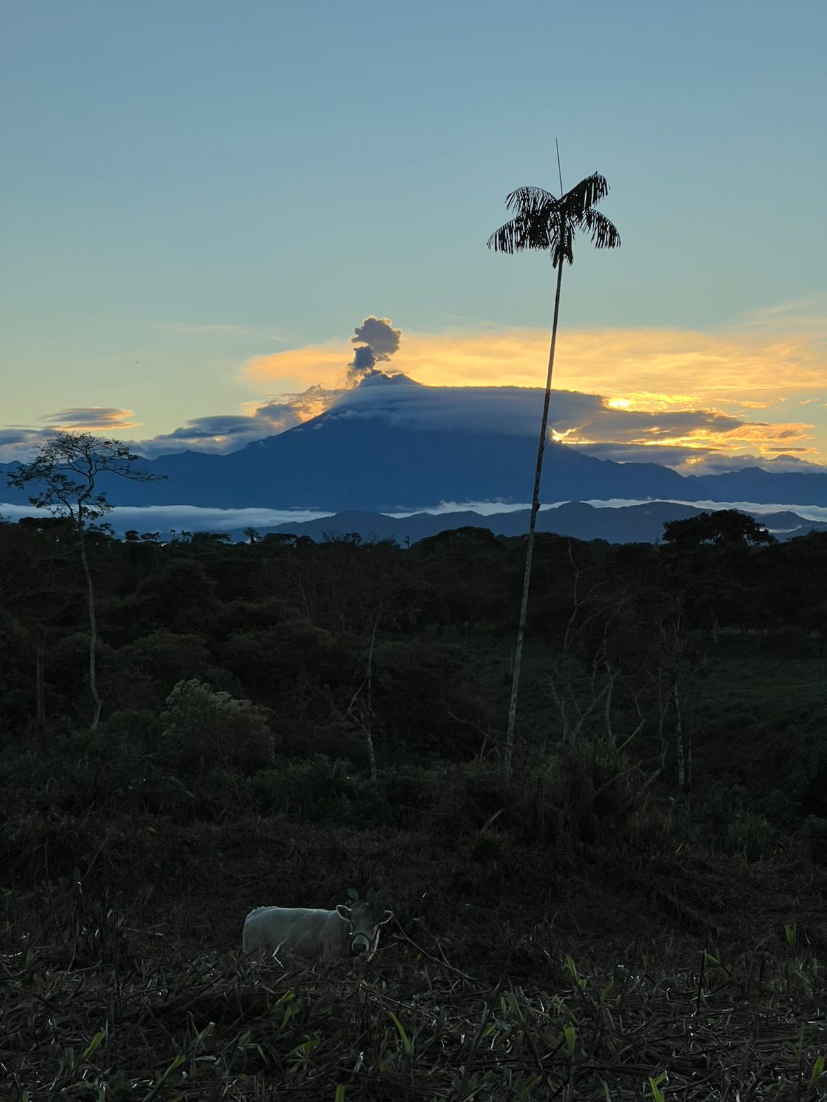Atardeceres del Sangay